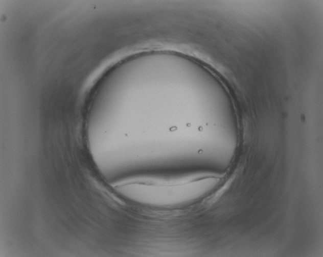 X0000067931502200604271955