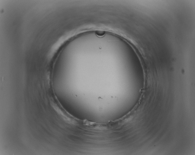 X0000067931503200604271955