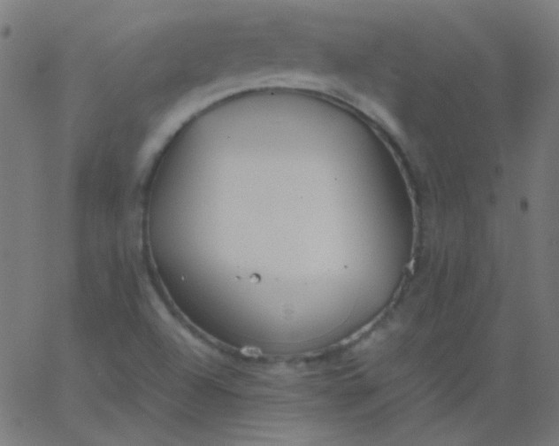 X0000067931504200604271955