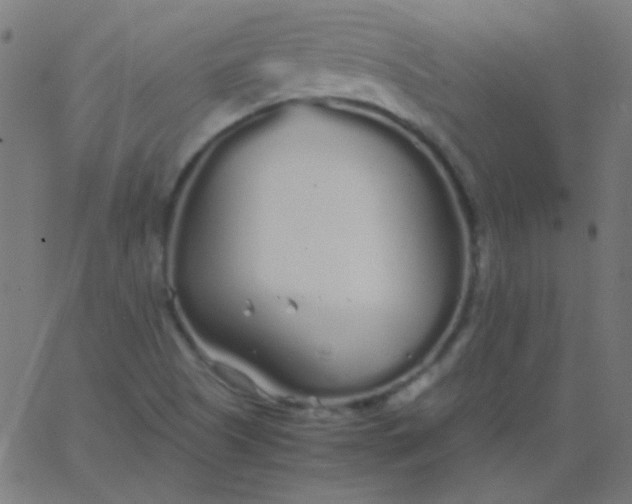 X0000067931505200604271955