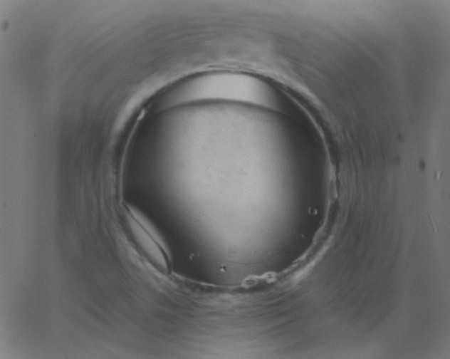 X0000067931506200604271955