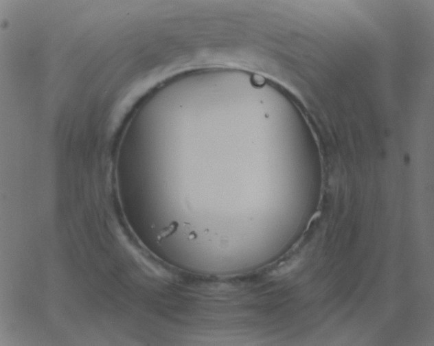 X0000067931507200604271955