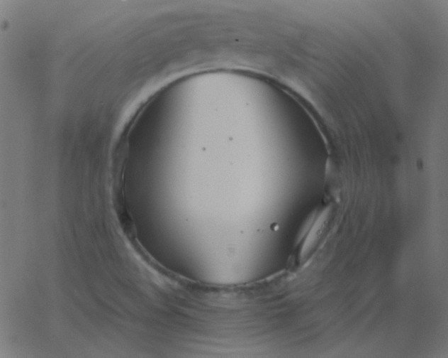 X0000067931508200604271955