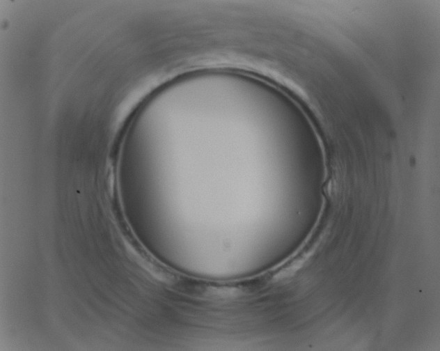 X0000067931509200604271955