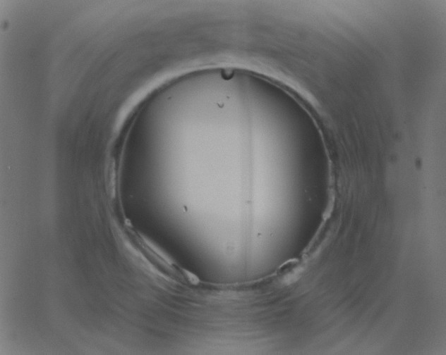 X0000067931510200604271955