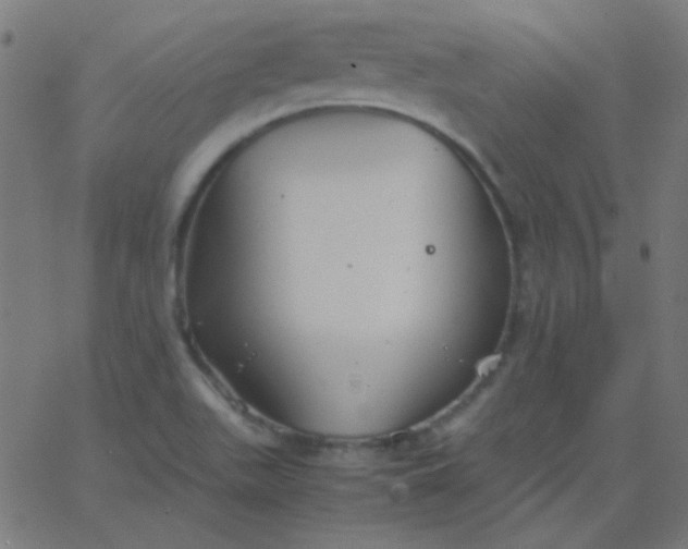 X0000067931511200604271955