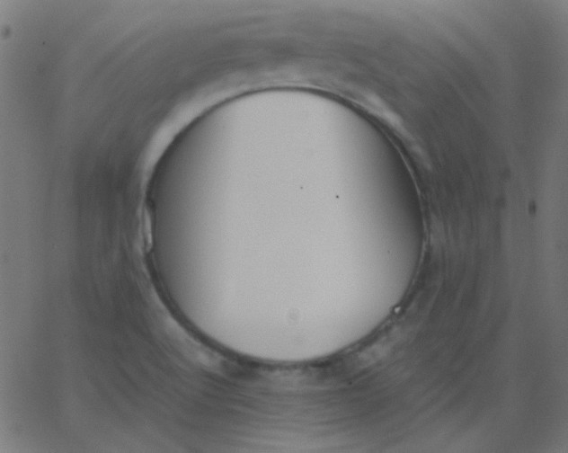 X0000067931512200604271955