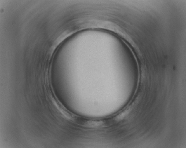 X0000067931513200604271956