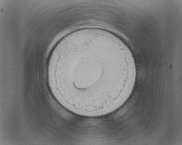 X0000067931514200604271956