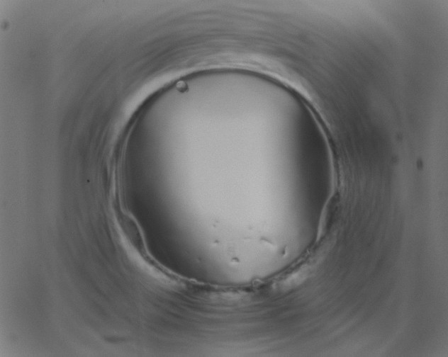 X0000067931515200604271956