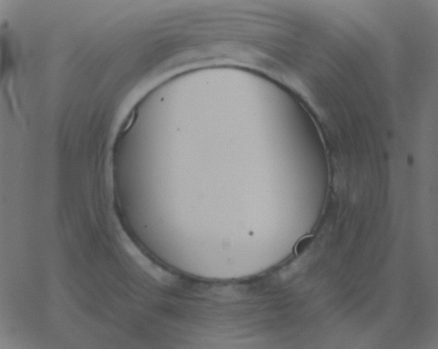 X0000067931516200604271956