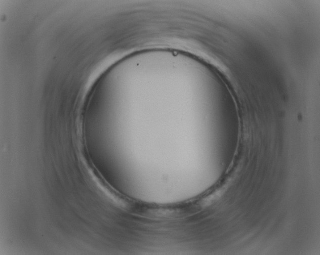 X0000067931517200604271956