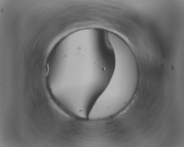 X0000067931518200604271956