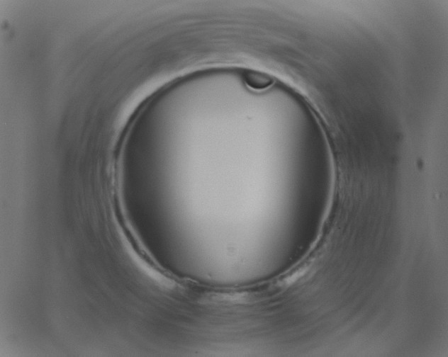 X0000067931519200604271956