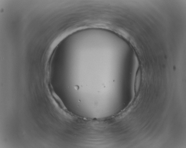 X0000067931520200604271956