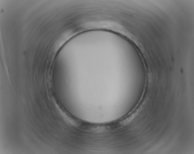 X0000067931521200604271956