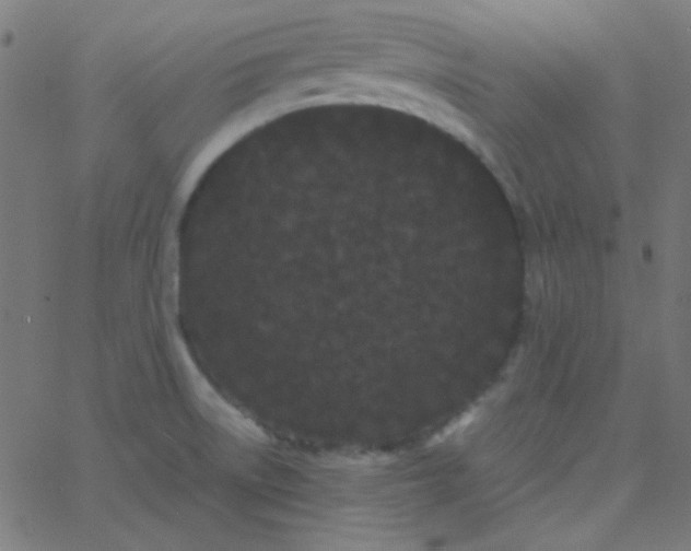 X0000067931522200604271956