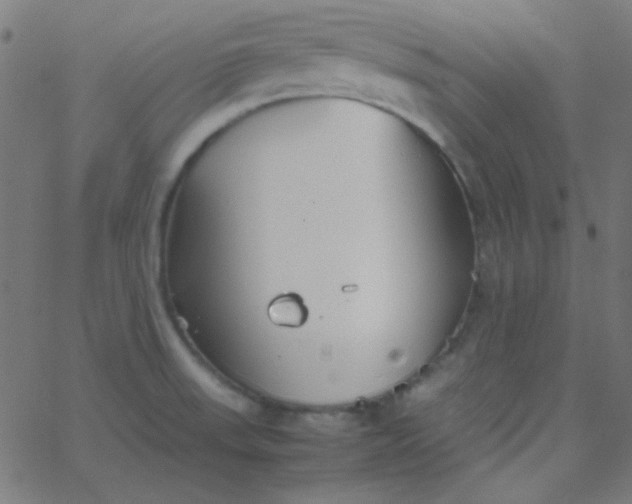 X0000067931523200604271956