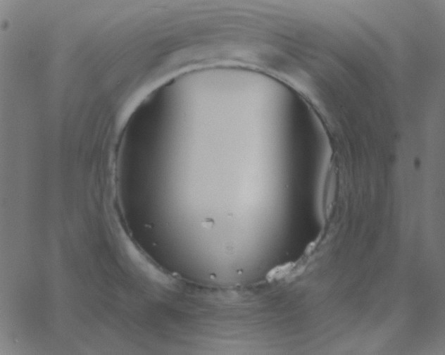 X0000067931524200604271956