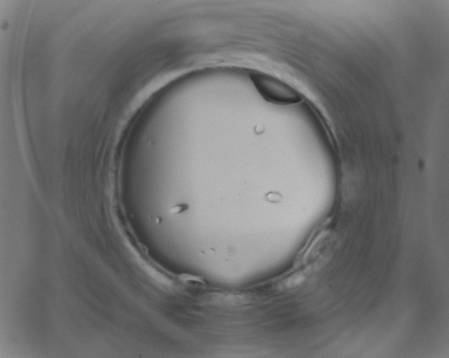 X0000067931525200604271956