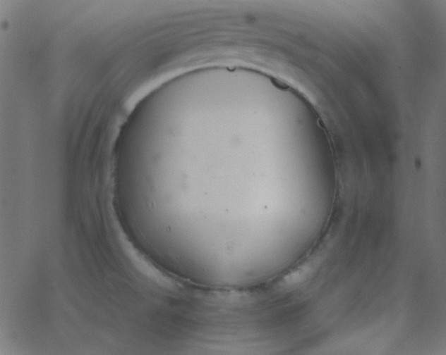 X0000067931526200604271956