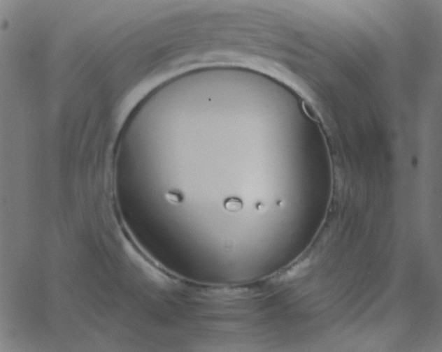 X0000067931527200604271956