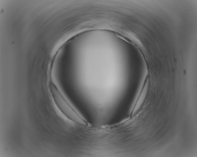 X0000067931528200604271956