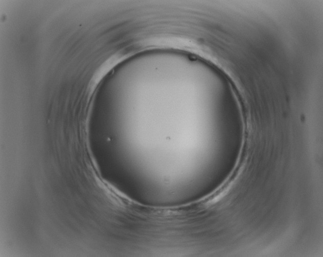 X0000067931529200604271956