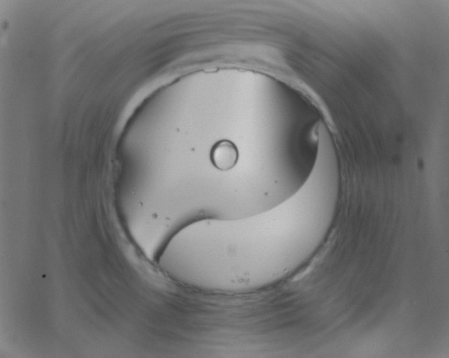 X0000067931530200604271956