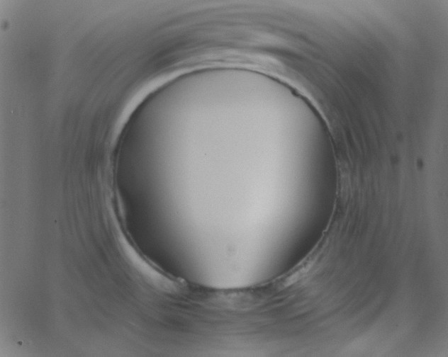 X0000067931531200604271956