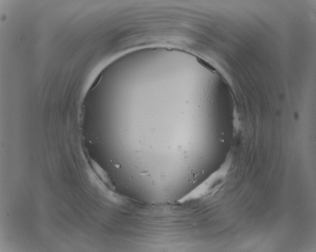 X0000067931532200604271956