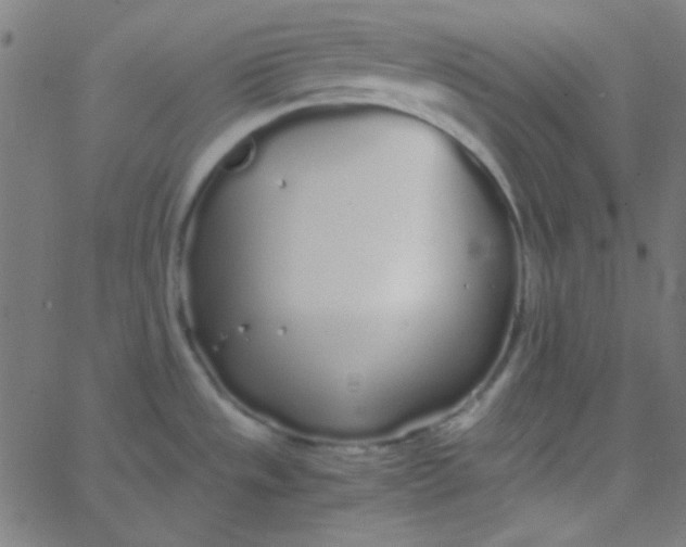 X0000067931533200604271956