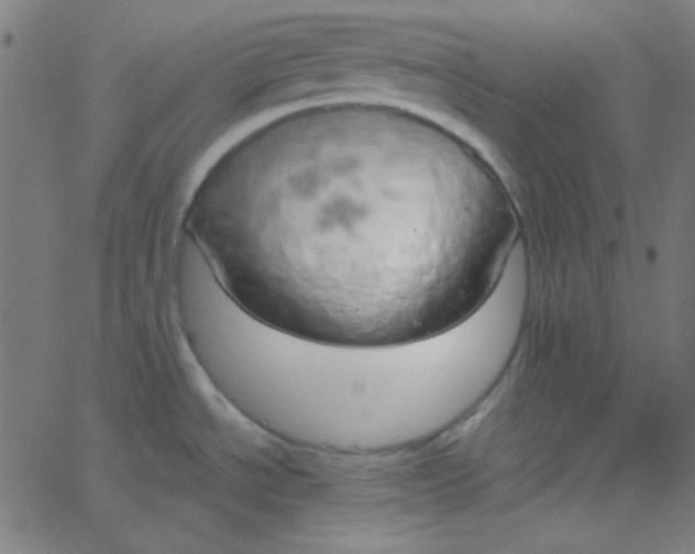 X0000067931534200604271956