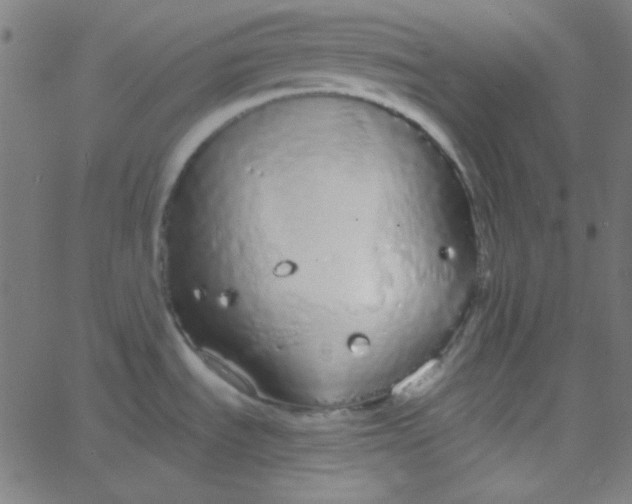 X0000067931535200604271956