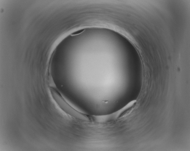 X0000067931536200604271956