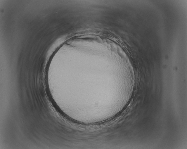 X0000067930006200605041746