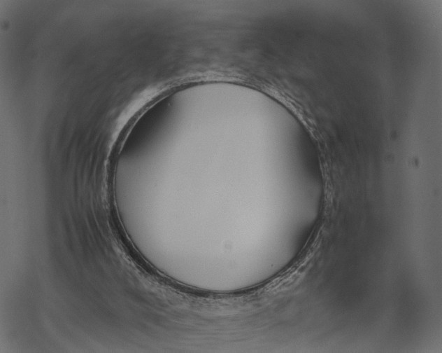 X0000067930008200605041746