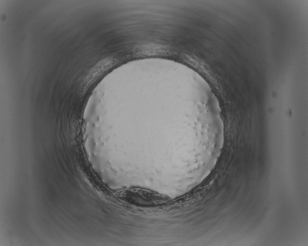 X0000067930010200605041746