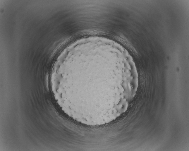 X0000067930014200605041746