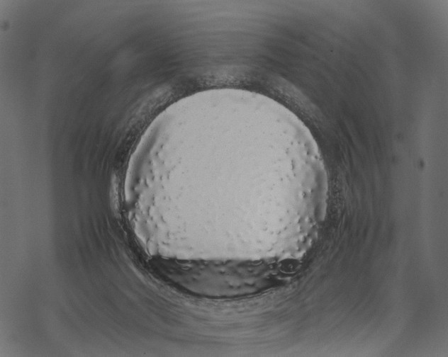 X0000067930022200605041746