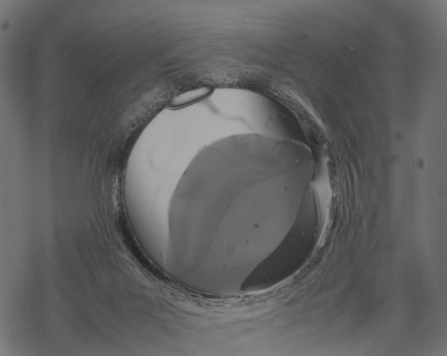 X0000067930023200605041746