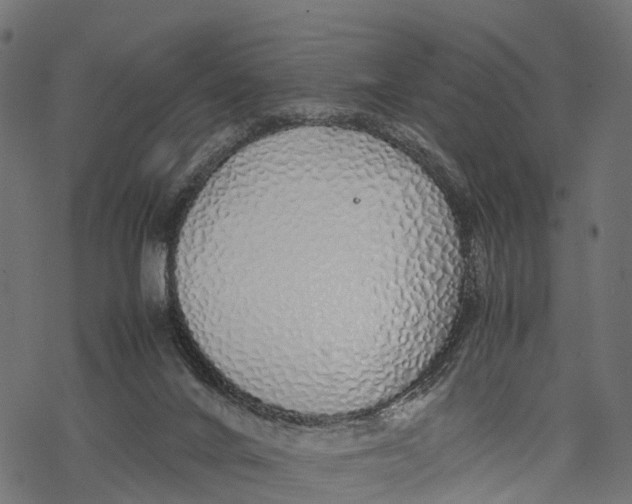 X0000067930024200605041746
