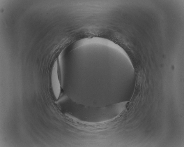 X0000067930027200605041746
