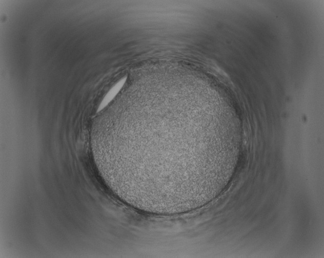 X0000067930029200605041746