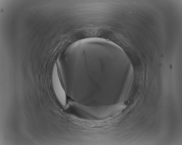 X0000067930035200605041746