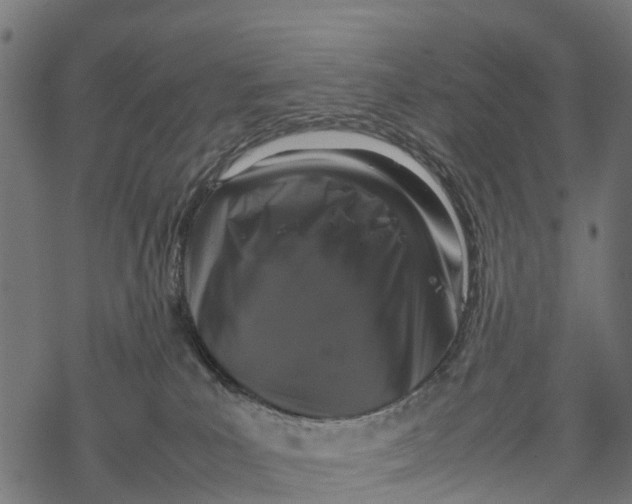 X0000067930039200605041746