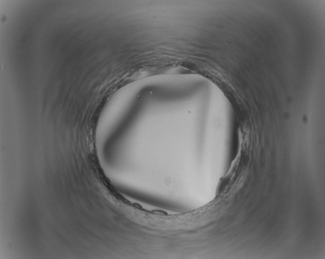 X0000067930043200605041746
