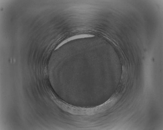X0000067930048200605041746