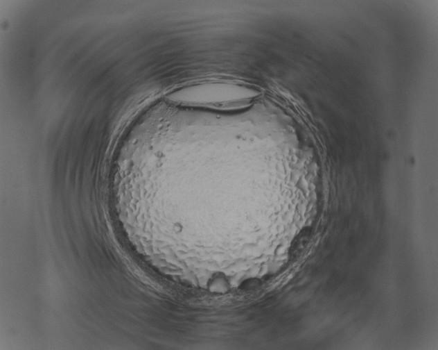 X0000067930049200605041745