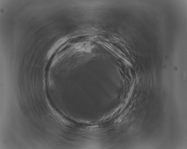 X0000067930054200605041745
